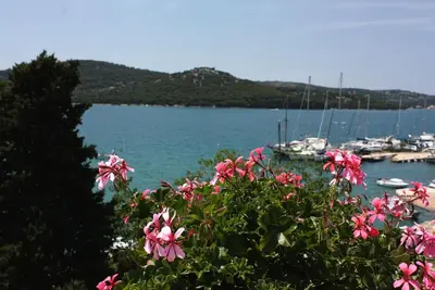 Image de Appartement d'une chambre prés de la plage Tisno, Murter (A-5141-a)