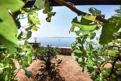 Image de Appartement d'une chambre prés de la plage Puntinak, Brac (A-12255-b)
