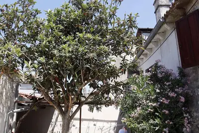 Image de Maison de vacances avec air conditionné
