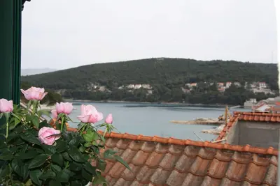 Image de Appartements Sonja (31411-A1) - Pucisca - île de Brac