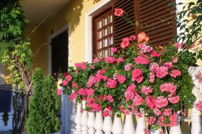 Image de Appartements Vladislav (86331-A1) - Opatija