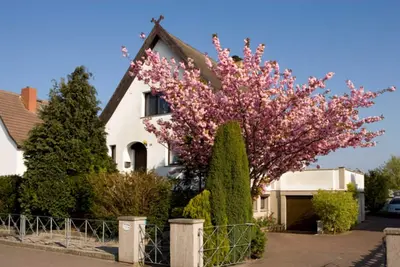 Image de Été KuR - appartement sous-sol - appartement sous-sol