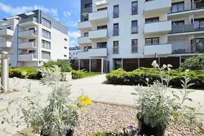 Image de 2 pièces Wo09 - Platan (Wo09)