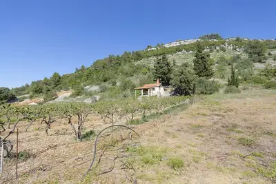 Image de Maison Silvana (31991-K1) - Postira - île de Brac