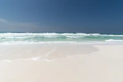 Image de Simplement Le Meilleur Dans Les Palmiers De Seagrove Beach Tout Le Monde Veut ÊTRE Ici