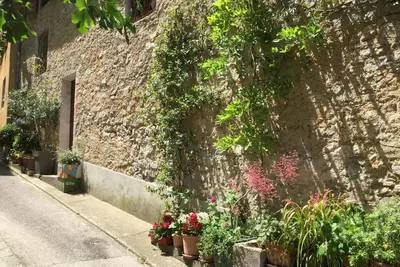 Image de Le gîte de l'Impassiflore
