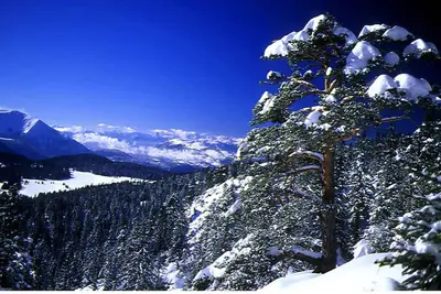Image de Studio Chamrousse, 1 pièce, 4 personnes