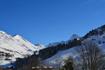 Image de Studio Le Grand-Bornand, 1 pièce, 4 personnes