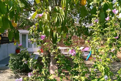 Image de Gîte en campagne G2072