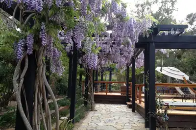 Image de Maison d'hôtes à Sunny Carmel Valley.