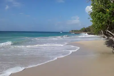 Image de Studio coquet à Sainte-Luce bordé de ses belles plages
