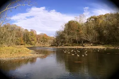 Image de Little Red Tree House sur la petite rivière rouge sur 8 acres privées avec grand quai