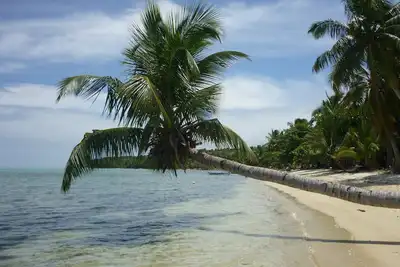 Image de Ile Ste Marie: Maison sur la plage face à l'océan indien côte est, parc 7. 500 m²