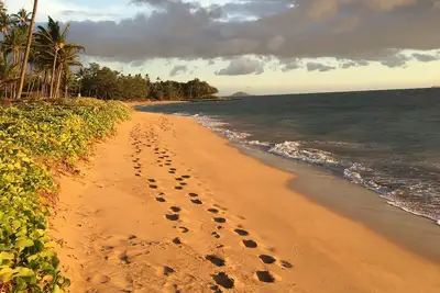 Image de Le Meilleur Secret GARDÉ Sur Maui! ! !