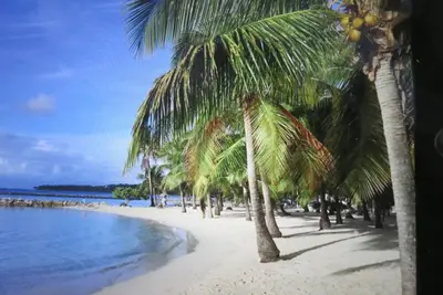Image de Plage Ste Anne accès direct, 100 m2 vue mer, piscine, wifi, jardin, parking
