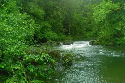 Image de Riverside / Anim & Enfants bienvenus famille Eco-Escapade (Max 12) de moins de 5 N / C