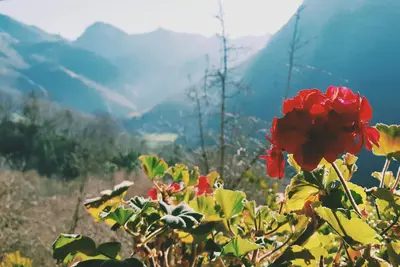 Image de Un coin dans les Asturies. Petit village, de superbes vues. Picos de Europa.