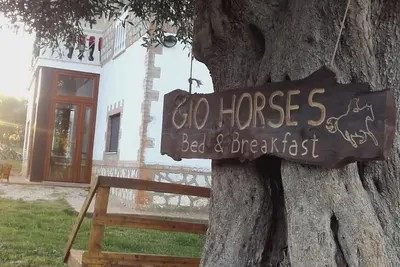 Image de Gio Horses B&B situé dans le parc national du Gargano entre mer, lacs et bois.