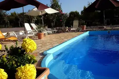 Image de Appartement-studio confortable pour deux personnes sur l'île de Šolta, Rogač
