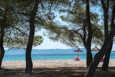 Image de Caprice Playa de Alcudia Apartments