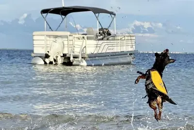 Image de Bateau ponton gratuit, Island Beach, piscine chauffée, pêche
