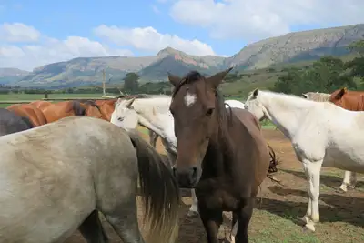 Image de Verlorenkloof Estate