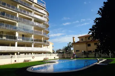 Image de P. Maritimo 50 Frontal Lek