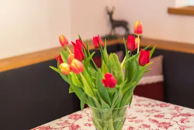 Image de -06- Ferienwohnung \"Unternberg\" (50qm), Balkon, Küche extra, 1 Schlaf- und 1 Wohnzimmer, max 2 Pers, Wlan