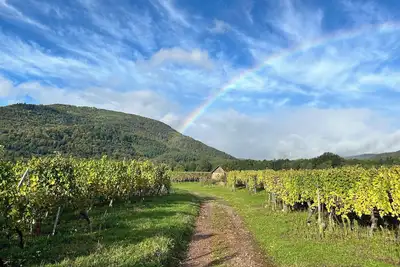 Image de Phil’Audelà Petit havre de paix de 50 m2 dans un petit village Alsacien.