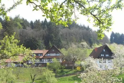 Image de Ferienwohnung 2, 50qm, 1 Schlafzimmer, max. 4 Personen
