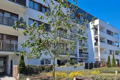 Image de 2 pièces Wo07 - Platan (Wo07)