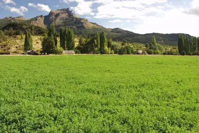 Image de 880 Acre Ranch dans le Lake District d'Argentine