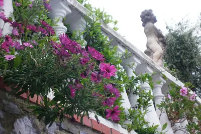 Image de Laigueglia Villa Oasis \"enchantement au milieu des oliviers et la mer\"