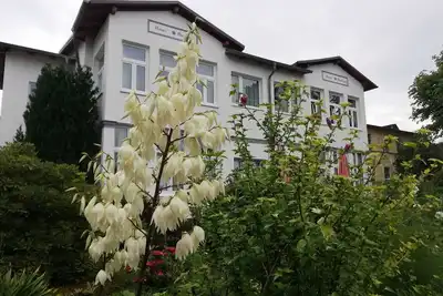 Image de Maison Gudrun FeWo 4 Og - Stranddistel - Maison Gudrun: Appartement 4