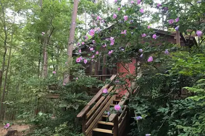 Image de Conte de la cabane à truites situé à 1 mile du ruisseau à truites et du lac