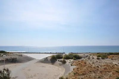 Image de Appartement situé dans une résidence donnant directement sur l'esplanade et la plage 95501