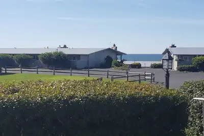 Image de Animaux acceptés près de la plage