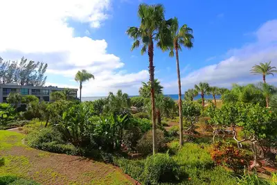 Image de Le Shore # 211: 2 Br \/ 2 Ba Condo Longboat Key avec Rva, pour 4 personnes