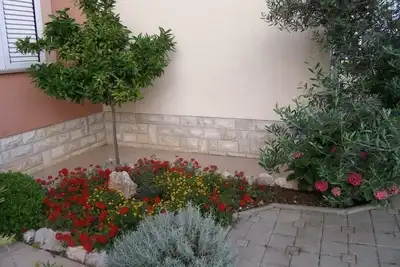 Image de Appartement d'une chambre avec le balcon Sukosan, Zadar (A-14970-b)