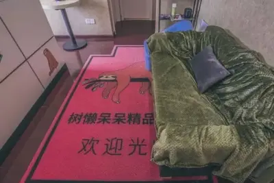 Image de Wuhan Sloth Hotel