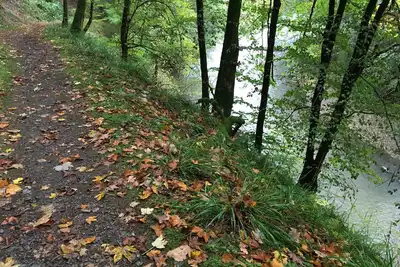 Image de Dirbach Plage Parc