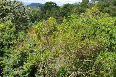 Image de Écrin de verdure - Tranquilité assurée