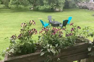 Image de D & D's Place - All Season Beauté Calme ou aventure, c'est ici!