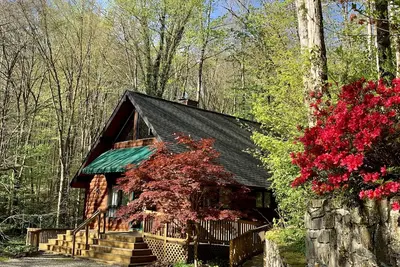 Image de Cabine 2 Bd 2 Ba isolée près de la ville Rushing Creek Spa adapté aux personnes handicapées