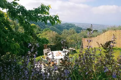 Image de Maison / villa - Camaiore