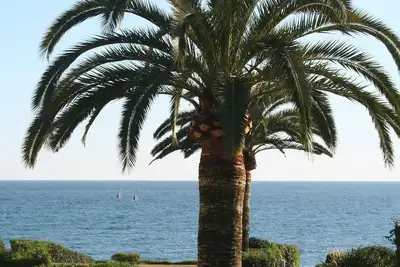 Image de Maison en bord de mer, grande vue sur la mer, à distance de marche Estepona Centre!