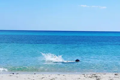Image de Budoni, appartement 7, Ă quelques pas de la plage
