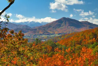Image de 'A Sight To See' - Une des évasions de montagne les plus pittoresques des Smokies!