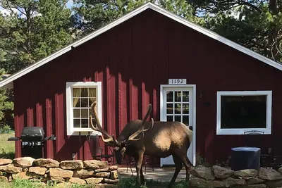 Image de Maison Hummingbird. Charmante cabine rustique mise à jour. Près de la ville et Rmnp! Wifi
