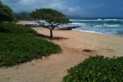 Image de Votre aventure Kauai commence avec cette belle villa.